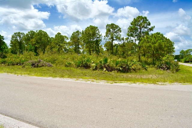 2922 Gene Ave N, Lehigh Acres, FL 33971 - photo 8