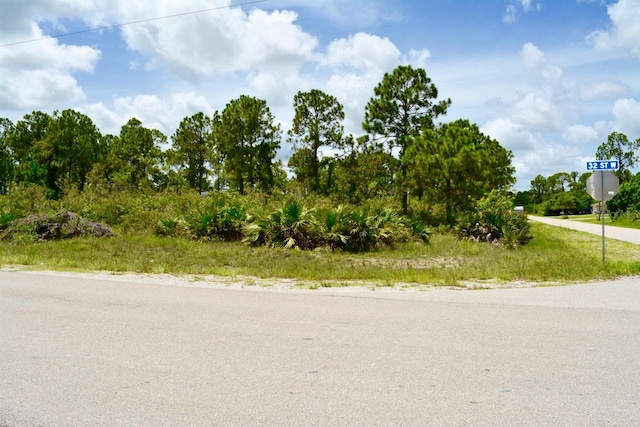 2922 Gene Ave N, Lehigh Acres, FL 33971 - photo 9