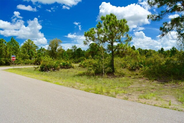 2922 Gene Ave N, Lehigh Acres, FL 33971 - photo 10