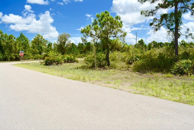2922 Gene Ave N, Lehigh Acres, FL 33971 - photo 11