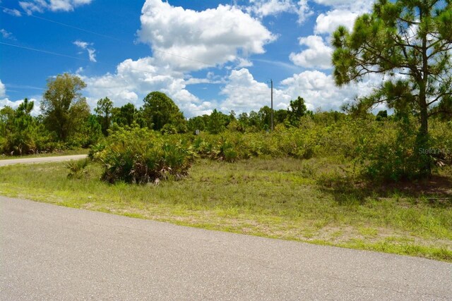 2922 Gene Ave N, Lehigh Acres, FL 33971 - photo 12