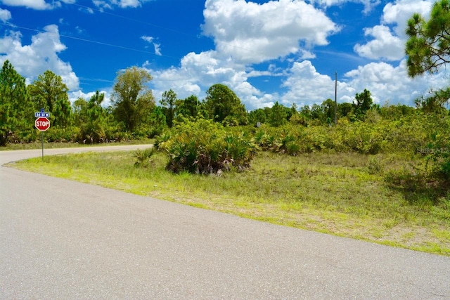 2922 Gene Ave N, Lehigh Acres, FL 33971 - photo 13