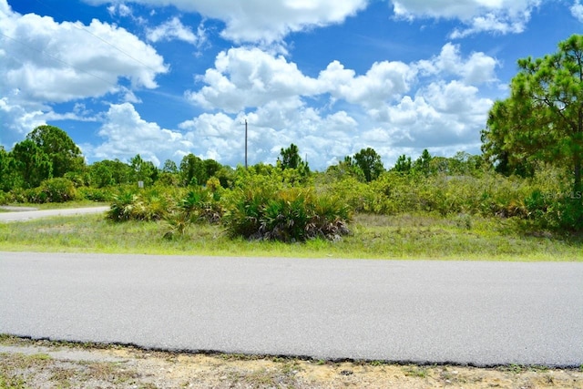 2922 Gene Ave N, Lehigh Acres, FL 33971 - photo 14