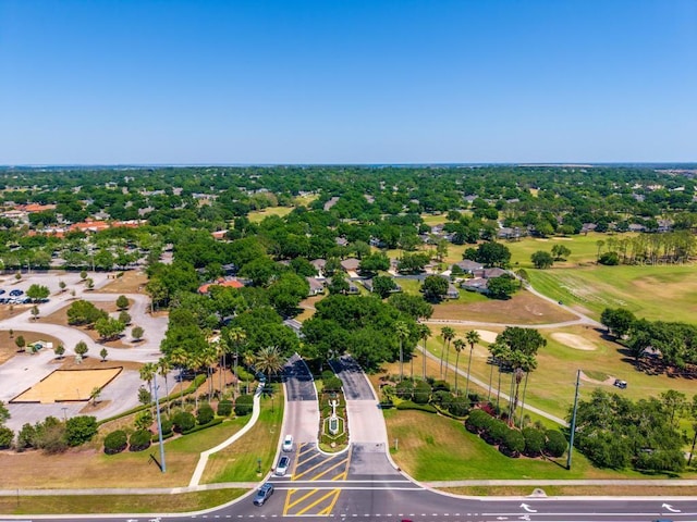 4386 Sambourne St, Clermont, FL 34711 - birds eye view of property