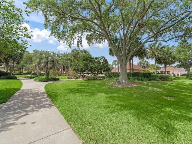 view of property's community with a yard