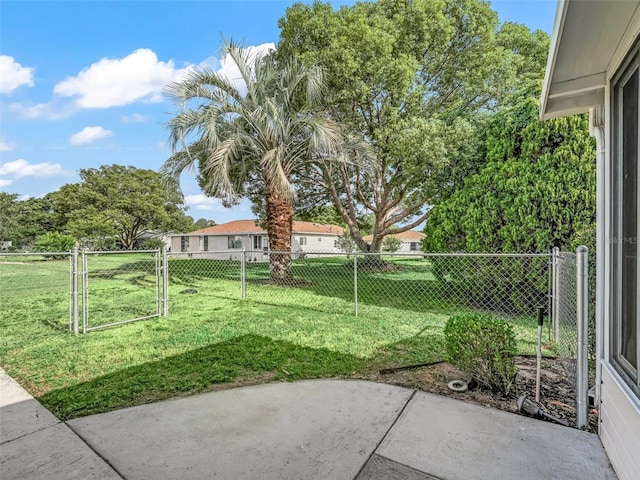 view of yard featuring a patio