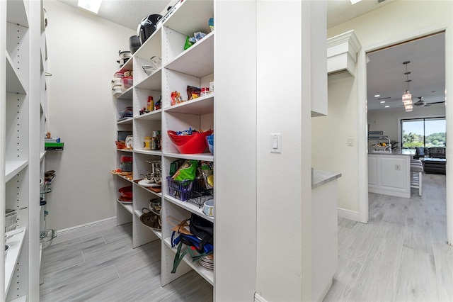 1111 Myrtle Breezes Ct, Fruitland Park, FL 34731 - view of storage area