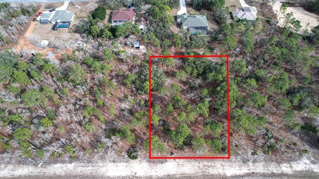 6001 N Elkcam Blvd, Beverly Hills, FL 34465 - photo 1