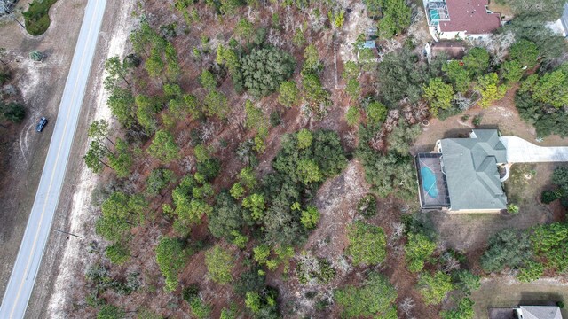 6001 N Elkcam Blvd, Beverly Hills, FL 34465 - photo 3