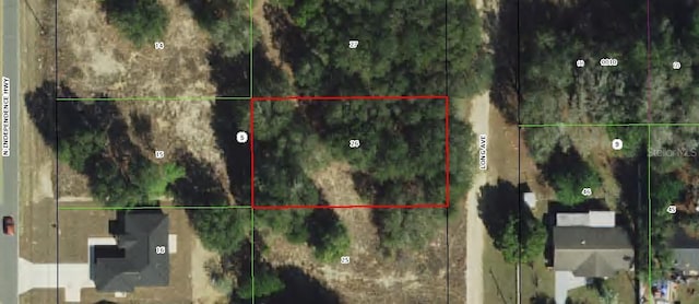 911 Long Ave, Inverness, FL 34453