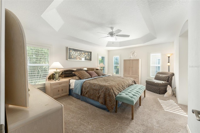 bedroom featuring a raised ceiling, a textured ceiling, light carpet, and multiple windows