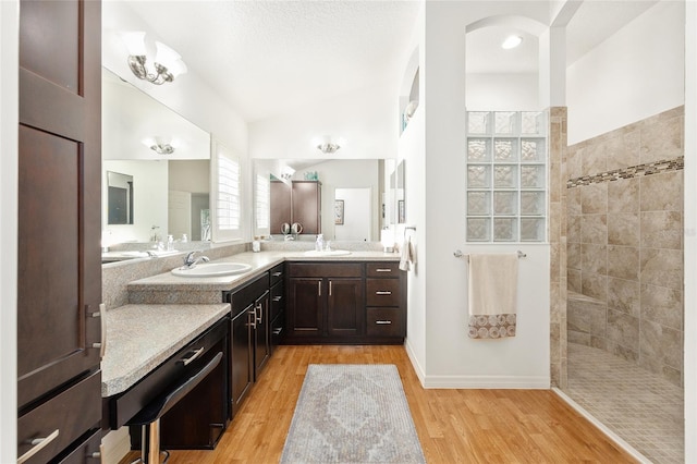 bathroom with vanity, a walk in shower, and wood finished floors
