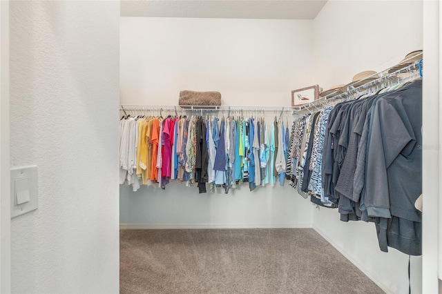 walk in closet featuring carpet flooring