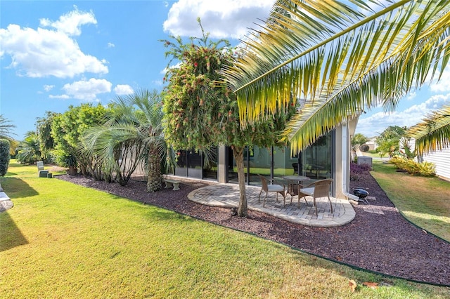 view of yard featuring a patio area