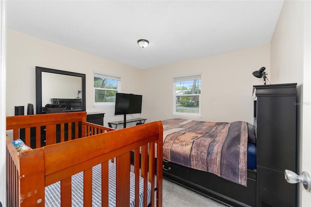 bedroom with carpet flooring