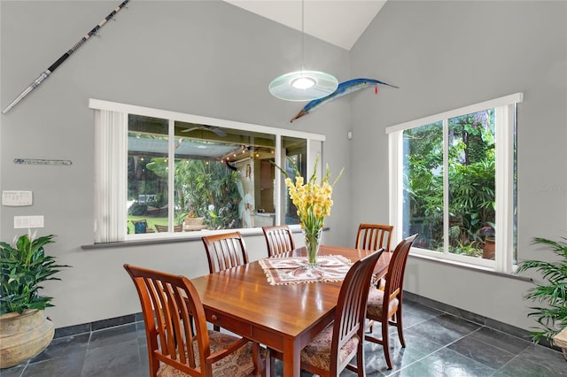 9642 Bear Lake Rd, Apopka, FL 32703 - dining space featuring high vaulted ceiling
