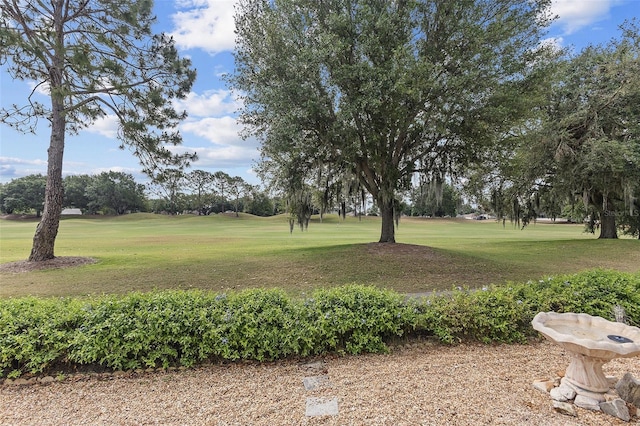 view of yard featuring view of golf course