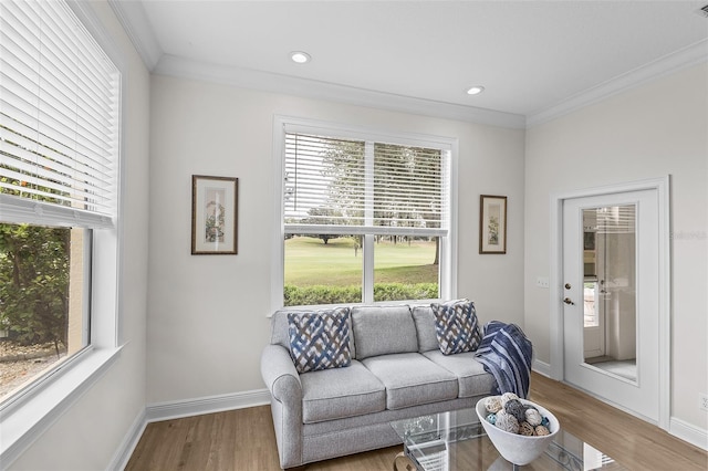 living area featuring crown molding, baseboards, and plenty of natural light