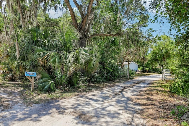 view of road with dirt driveway