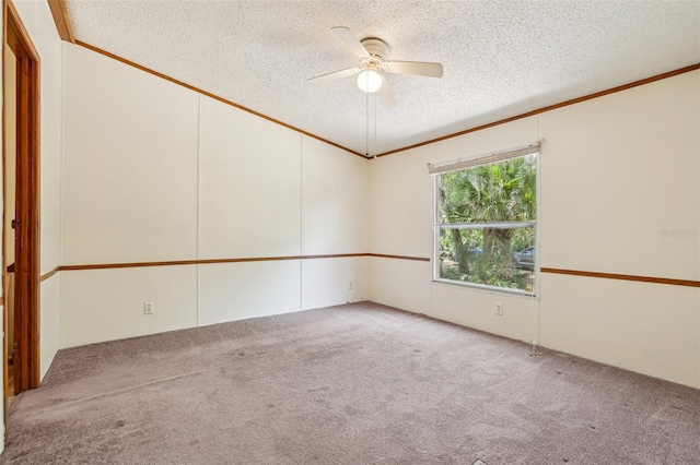 carpeted spare room featuring a ceiling fan, a textured ceiling, and ornamental molding