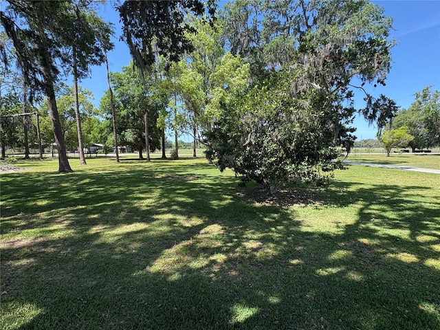 view of property's community featuring a yard