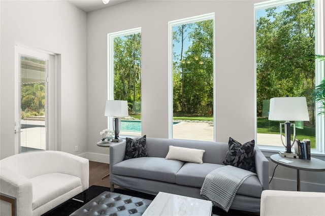 living area with baseboards, wood finished floors, and a healthy amount of sunlight