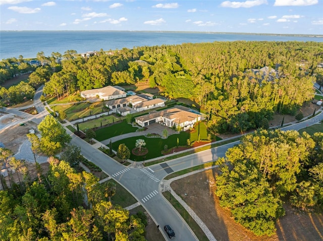 bird's eye view featuring a water view and a view of trees