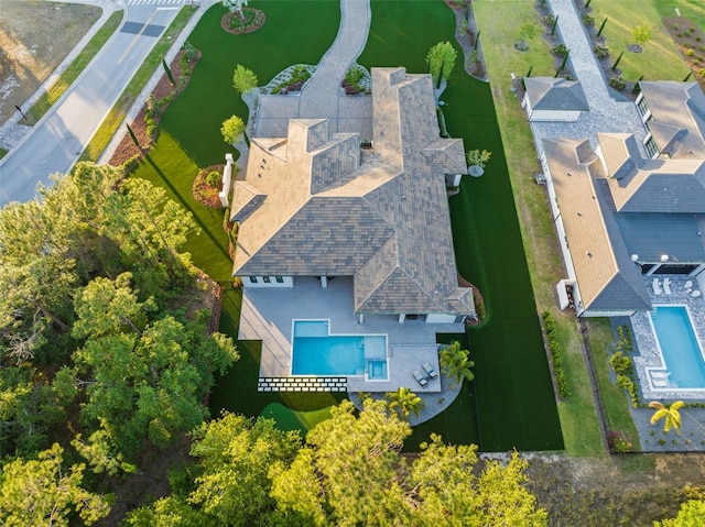 bird's eye view