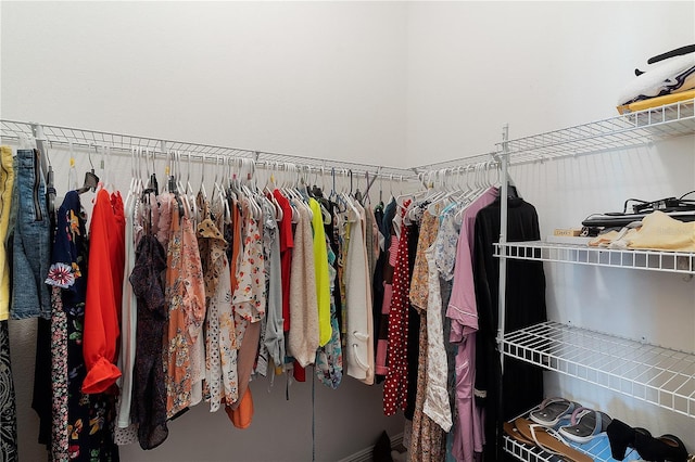 view of walk in closet
