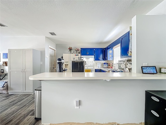 1001 N Lakeshore Blvd, Howey In The Hills, FL 34737 - kitchen featuring a sink, a peninsula, white appliances, light countertops, and blue cabinetry