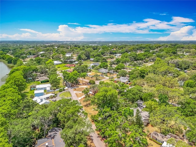 1001 N Lakeshore Blvd, Howey In The Hills, FL 34737 - aerial view