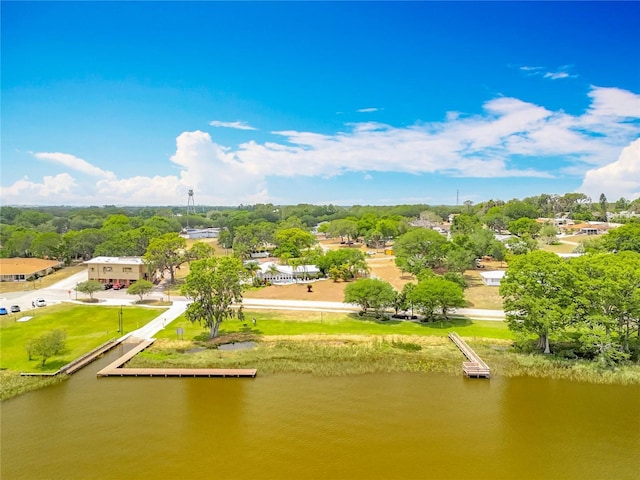 1001 N Lakeshore Blvd, Howey In The Hills, FL 34737 - drone / aerial view with a water view