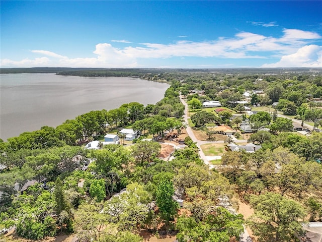 1001 N Lakeshore Blvd, Howey In The Hills, FL 34737 - bird's eye view with a water view