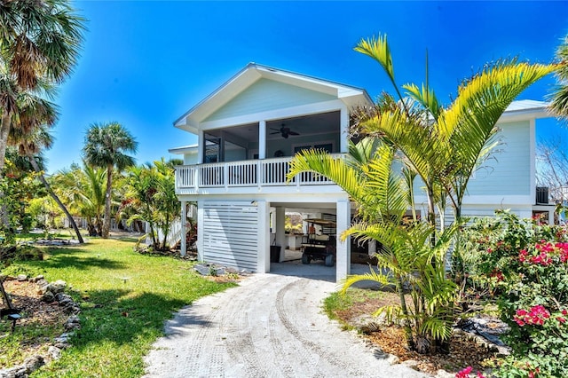view of front facade featuring a front yard, a sunroom, a ceiling fan, a carport, and driveway