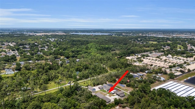 3055 Wolf Branch Rd, Mount Dora, FL 32757 - photo 14