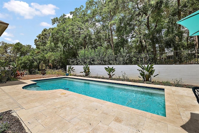 6905 Clayton St, Mount Dora, FL 32757 - view of swimming pool with a patio area, a fenced backyard, and view of wooded area