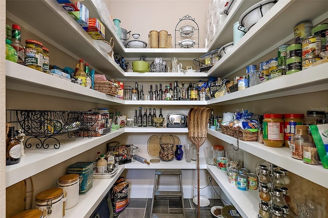 6905 Clayton St, Mount Dora, FL 32757 - view of storage area
