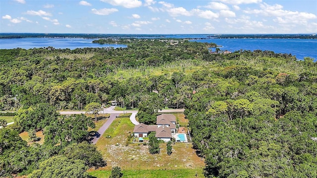 6905 Clayton St, Mount Dora, FL 32757 - aerial view of a large body of water and a heavily wooded area