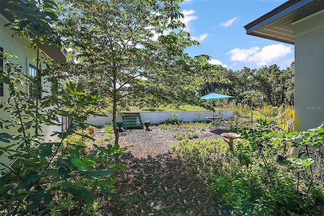 6905 Clayton St, Mount Dora, FL 32757 - view of yard