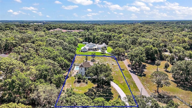 6905 Clayton St, Mount Dora, FL 32757 - aerial view of property and surrounding area featuring property parcel outlined and a heavily wooded area