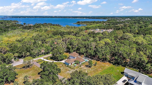 6905 Clayton St, Mount Dora, FL 32757 - bird's eye view of a forest and a nearby body of water