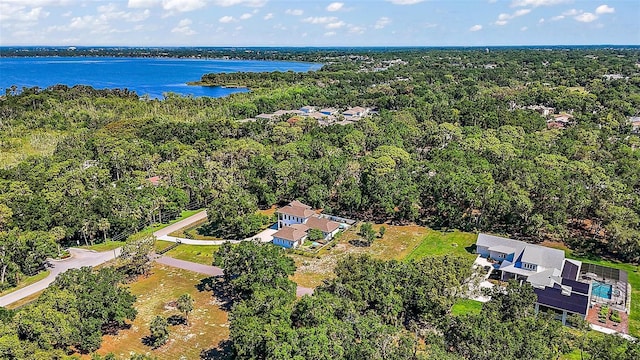 6905 Clayton St, Mount Dora, FL 32757 - drone / aerial view of a heavily wooded area and a nearby body of water