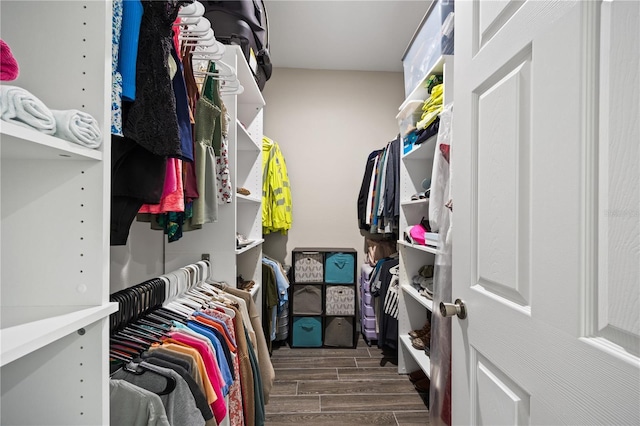 spacious closet featuring wood finished floors