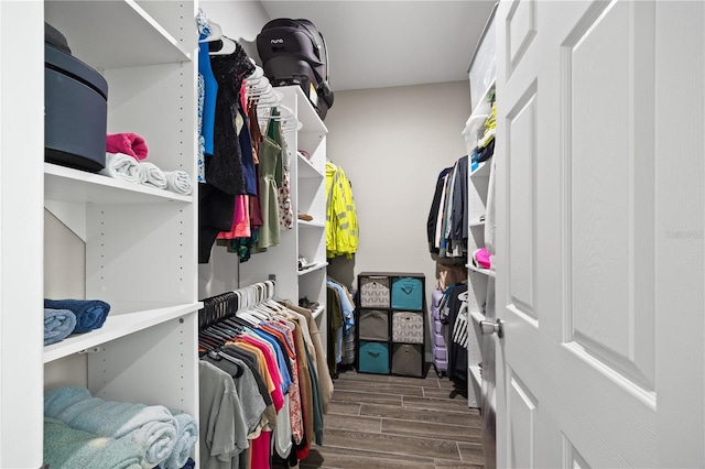 walk in closet featuring wood finished floors