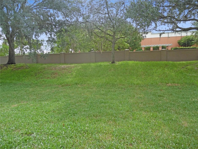 739 Cortez Ave, The Villages, FL 32159 - view of yard