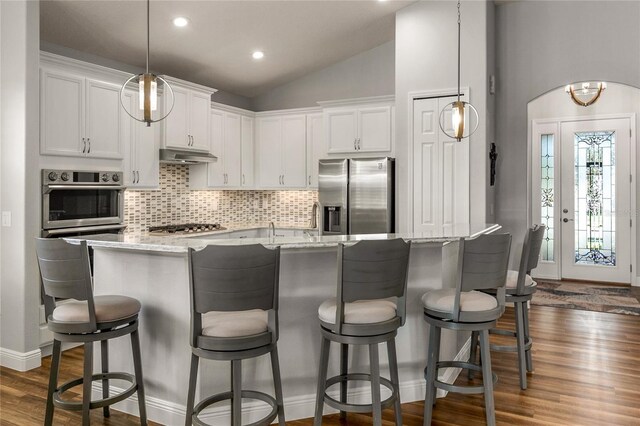 8492 Hartford Way, Mount Dora, FL 32757 - kitchen featuring appliances with stainless steel finishes, under cabinet range hood, vaulted ceiling, decorative backsplash, and dark wood-style flooring