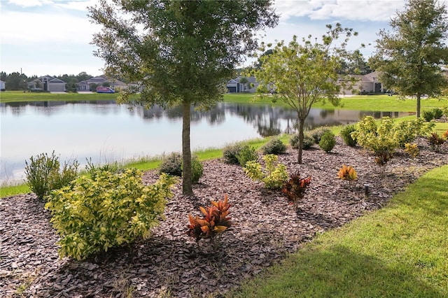 8492 Hartford Way, Mount Dora, FL 32757 - water view