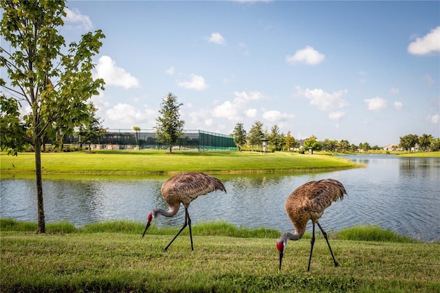 8492 Hartford Way, Mount Dora, FL 32757 - water view