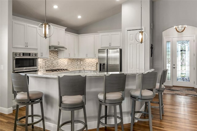 8492 Hartford Way, Mount Dora, FL 32757 - kitchen with stainless steel appliances, under cabinet range hood, lofted ceiling, backsplash, and dark wood finished floors