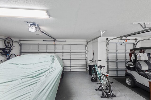 1140 Eureka Mill Run, The Villages, FL 32162 - view of garage